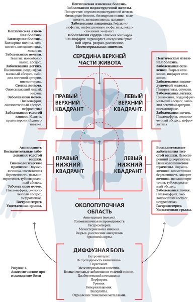 Острая гастродуоденальная боль. Часть 1			     
        Острая гастродуоденальная боль. Часть 1