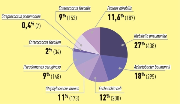 DDD-анализ потребления антибактериальных препаратов резерва и его роль в управлении антимикробной терапией			     
        DDD-анализ потребления антибактериальных препаратов резерва и его роль в управлении антимикробной терапией