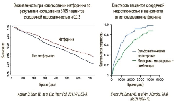 Метформин: лечение диабета или нечто большее?			
        
         
        Метформин: лечение диабета или нечто большее?