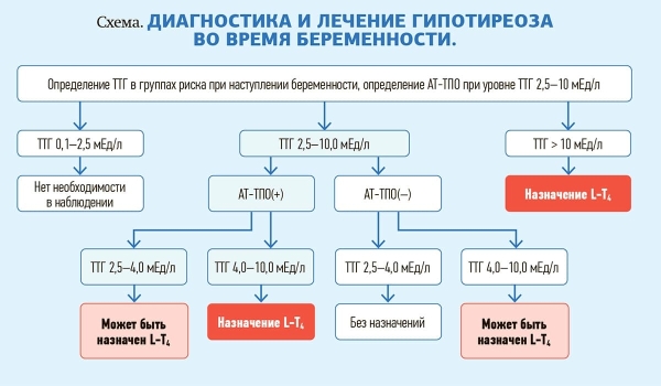 Синдром гипотиреоза и тиреотоксикоза у беременных			     
        Синдром гипотиреоза и тиреотоксикоза у беременных