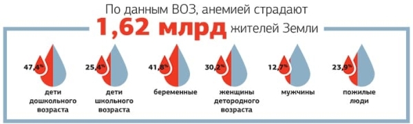 
        Анемия в общей терапевтической практике + аудио			
        
        
