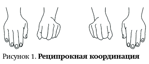 Оценка развития высшей нервной деятельности ребенка на амбулаторном этапе			     
        Оценка развития высшей нервной деятельности ребенка на амбулаторном этапе