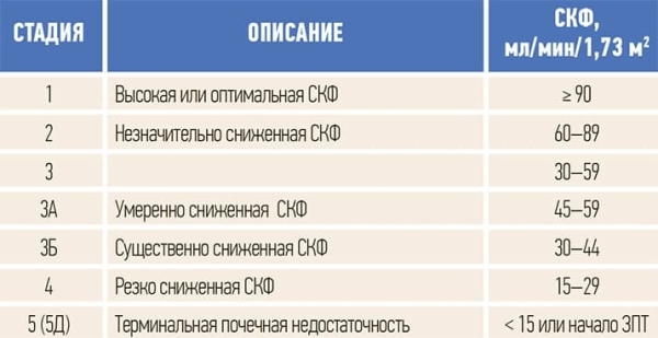 Нефропротекция на практике: что нового?			     
        Нефропротекция на практике: что нового?