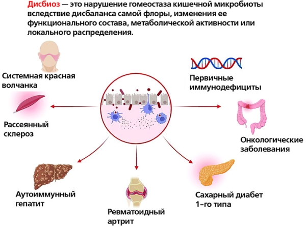 Микробиота и иммунитет			
        
         
        Микробиота и иммунитет