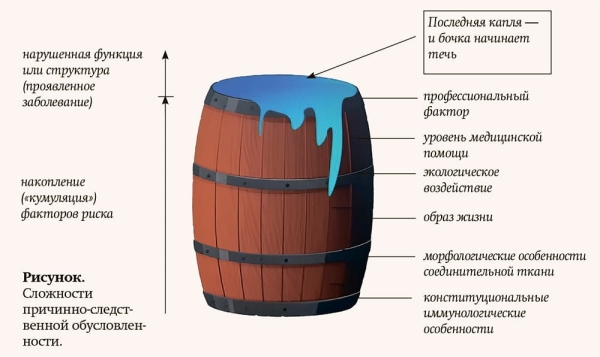 Работа до боли в спине: парадоксы физической активности			     
        Работа до боли в спине: парадоксы физической активности
