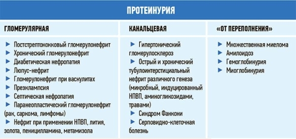 Хроническая болезнь почек: особенности диагностики			     
        Хроническая болезнь почек: особенности диагностики