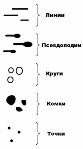 
        Онкодерматология: алгоритмы диагностики для врачей первичного звена			    