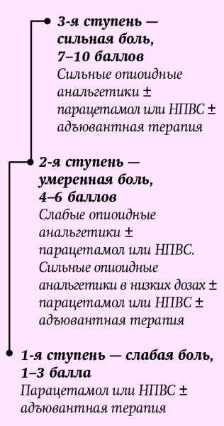 Хроническая боль в амбулаторной терапевтической практике. Часть 2			     
        Хроническая боль в амбулаторной терапевтической практике. Часть 2
